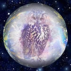 Meet your Posher, Sue